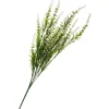 Discount DPI Veronica-Strauch
