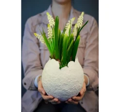 Sale Viva Decor