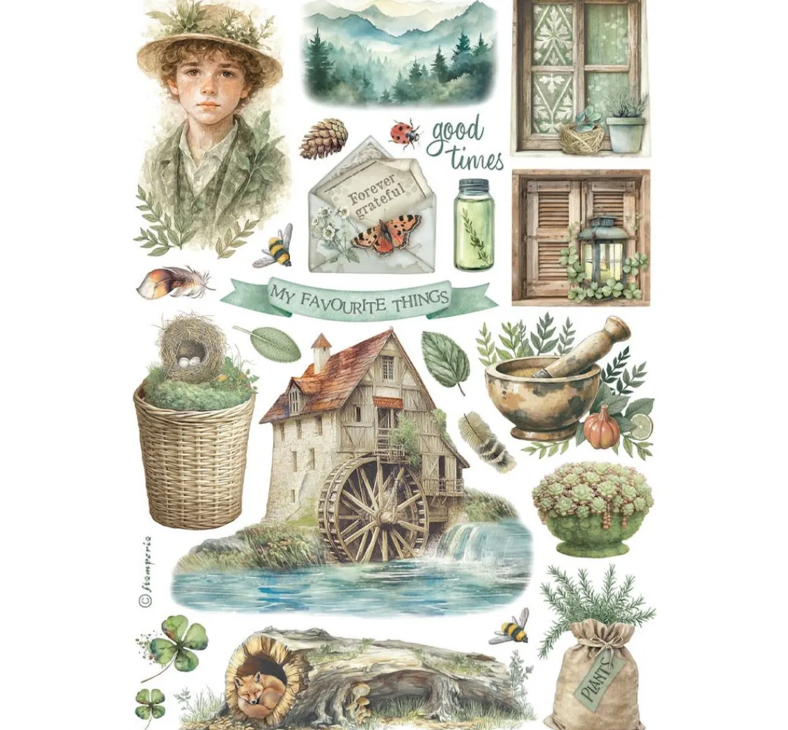 Online Stamperia Washi Pad "Herbarium Silvae"