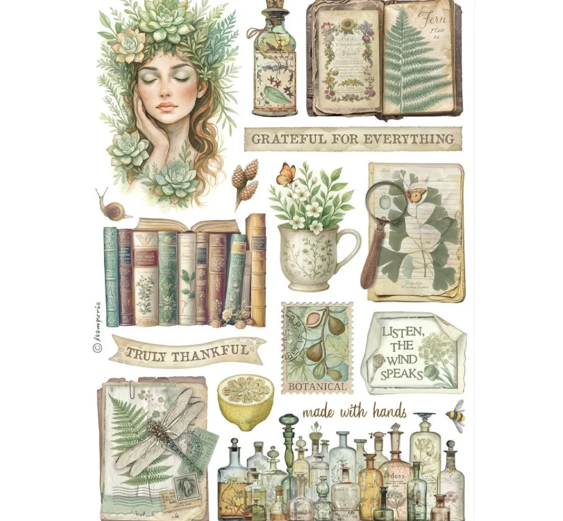 Online Stamperia Washi Pad "Herbarium Silvae"