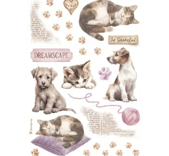 Clearance Stamperia Washi Pad 