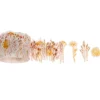 Clearance Rico Design Washi Sticker "Trockenblumen"