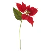 Clearance DPI Weihnachtsstern Blüte