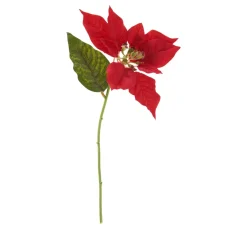 Clearance DPI Weihnachtsstern Blüte