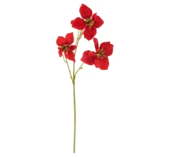 Clearance DPI Weihnachtsstern Zweig "Wena"
