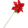 Hot DPI Weihnachtsstern-Zweig "Gloria", L 45 cm