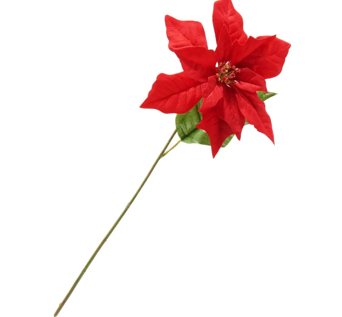 Hot DPI Weihnachtsstern-Zweig "Gloria", L 45 cm
