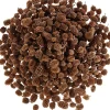Clearance ohne Marke Zapfen Casuarina