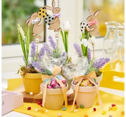 New VBS Zellglas-Beutel, 25 Stück