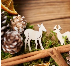 Discount Othmar Decorations Zimtstangen, natural